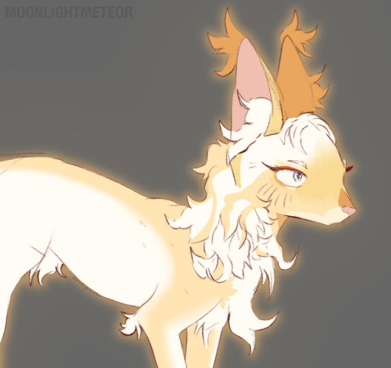 ✦