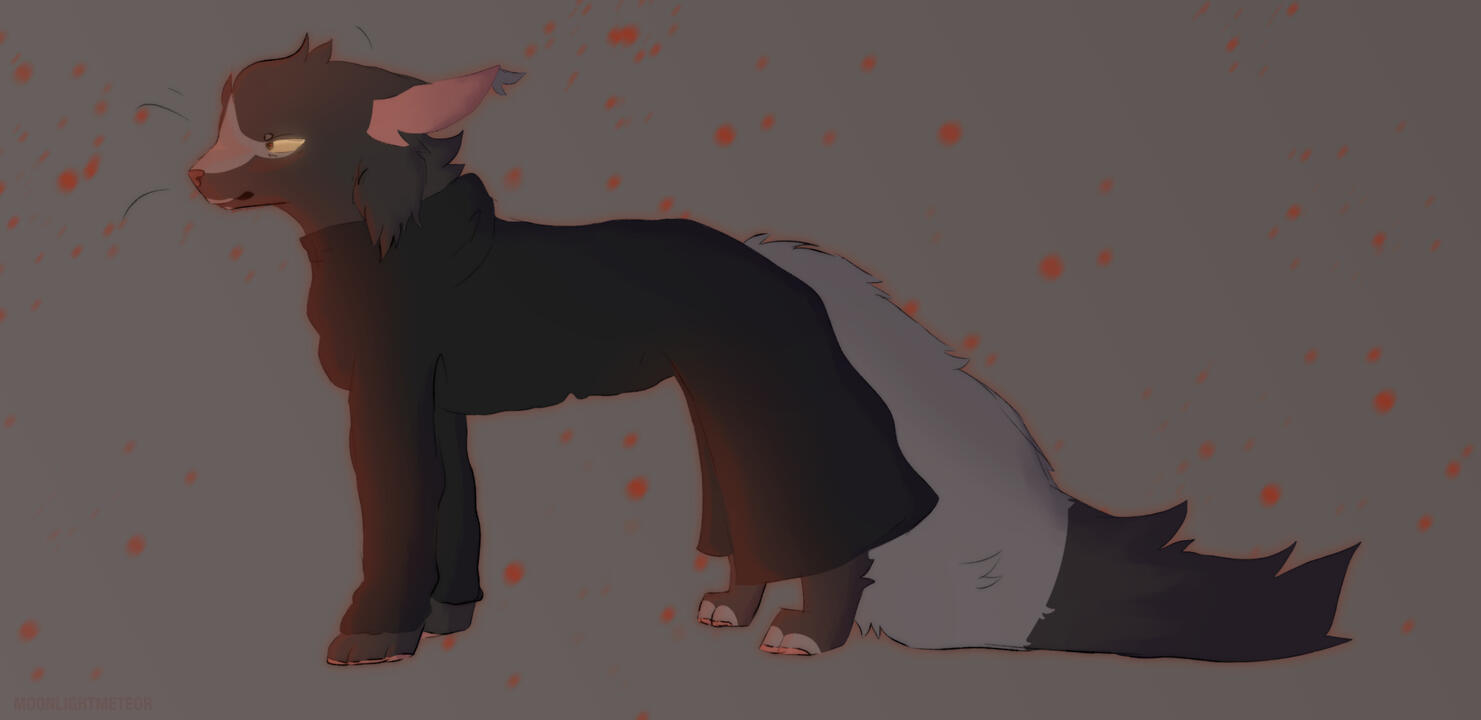 ✦