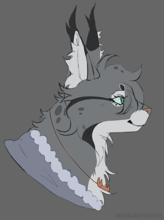 ✦