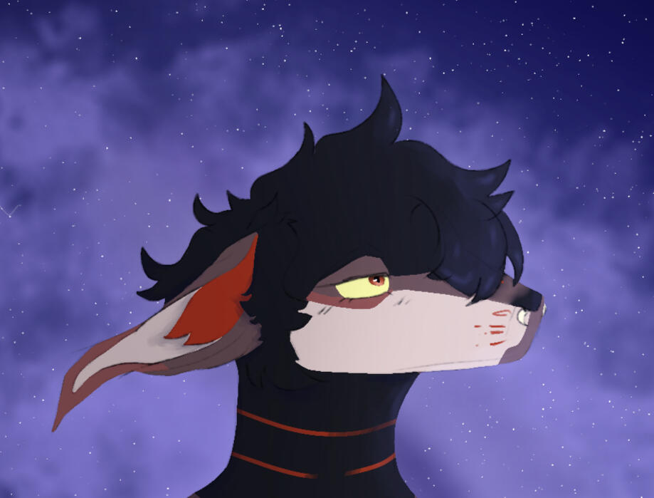 ✦